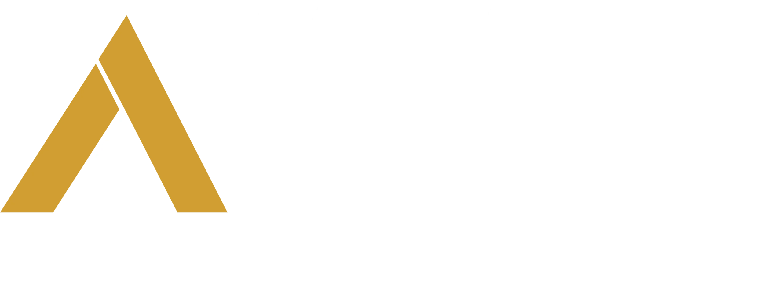 Ayala Group